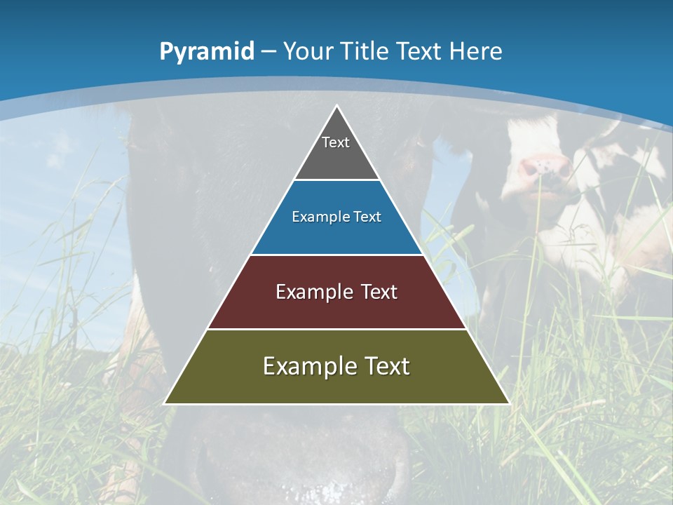 Ranch Cow Land PowerPoint Template