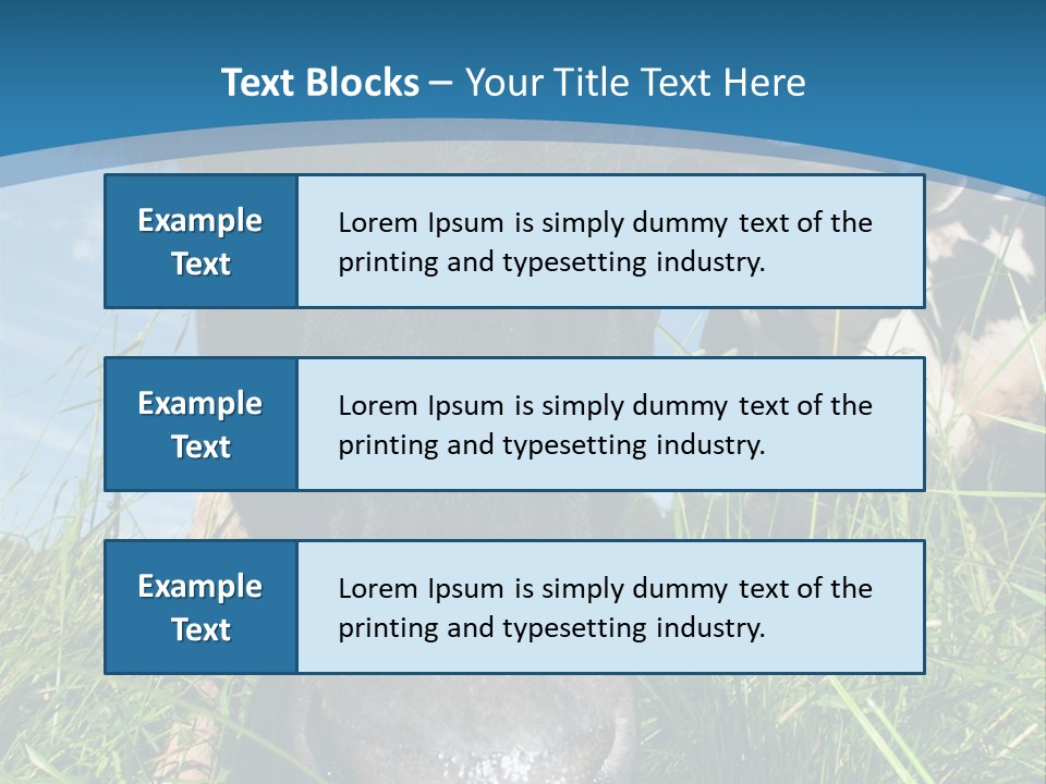 Ranch Cow Land PowerPoint Template