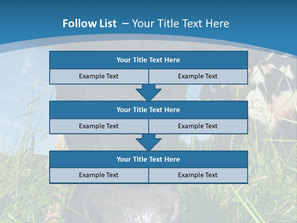 Ranch Cow Land PowerPoint Template