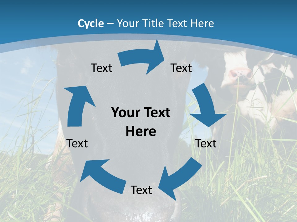 Ranch Cow Land PowerPoint Template