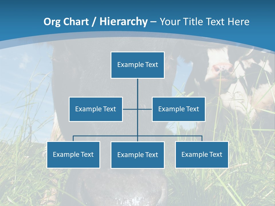 Ranch Cow Land PowerPoint Template