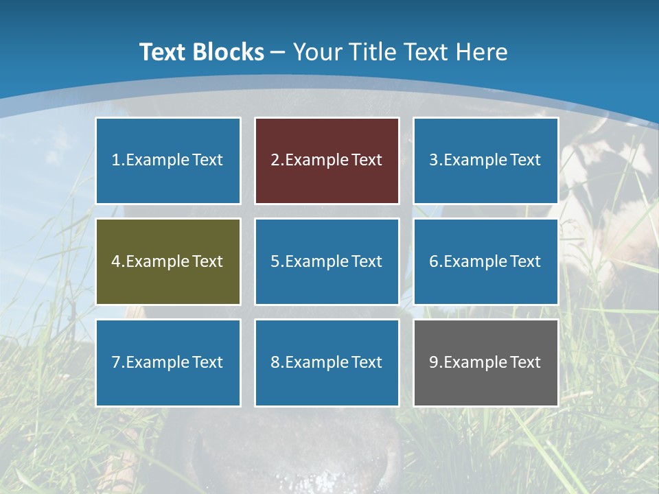 Ranch Cow Land PowerPoint Template