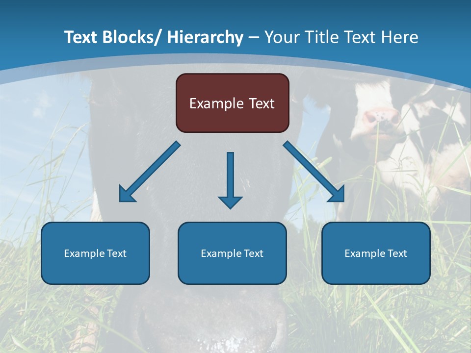 Ranch Cow Land PowerPoint Template