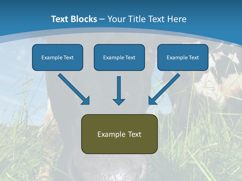 Ranch Cow Land PowerPoint Template