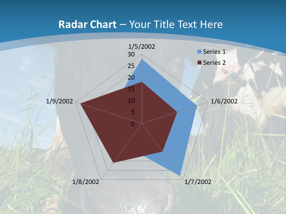 Ranch Cow Land PowerPoint Template