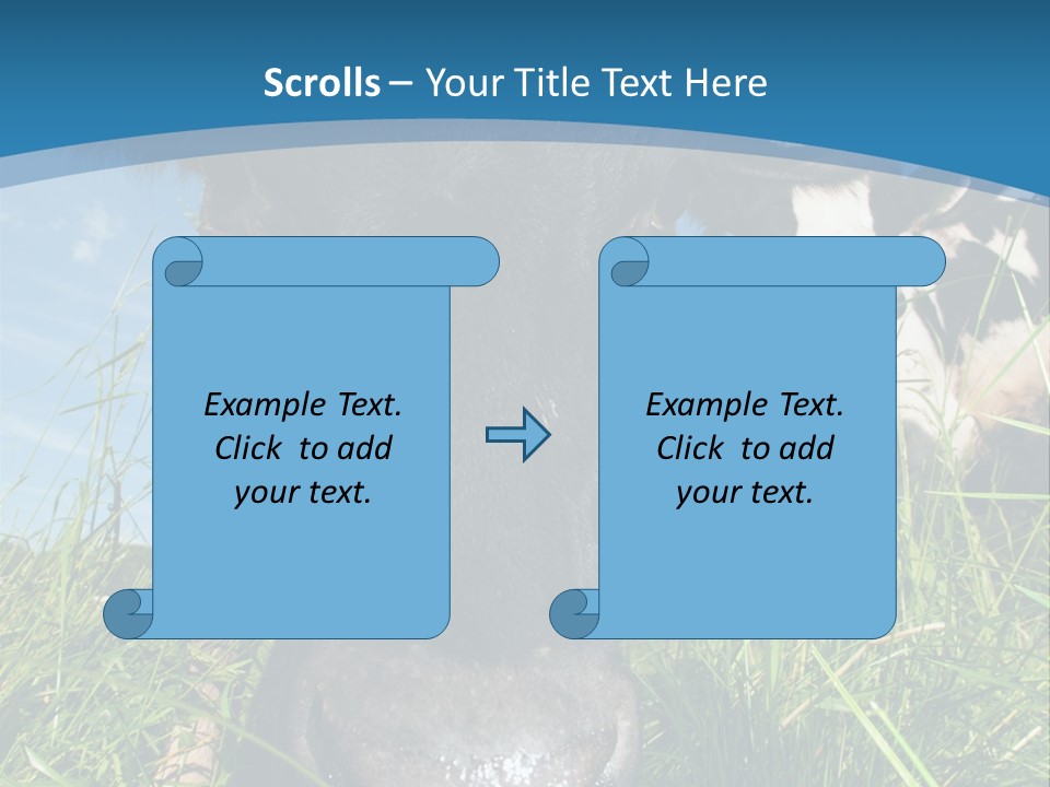 Ranch Cow Land PowerPoint Template