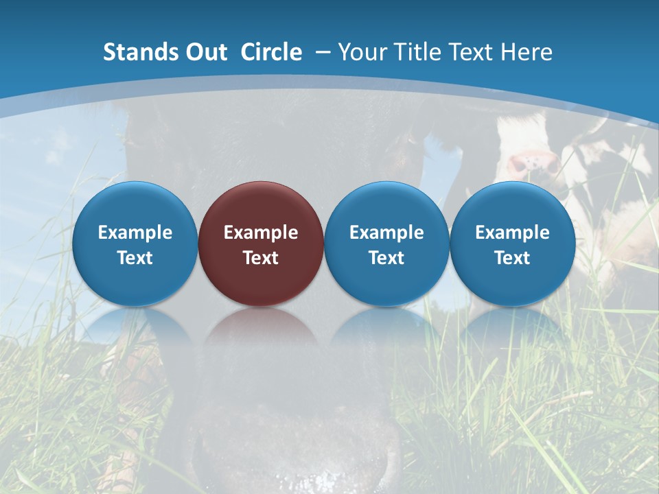 Ranch Cow Land PowerPoint Template