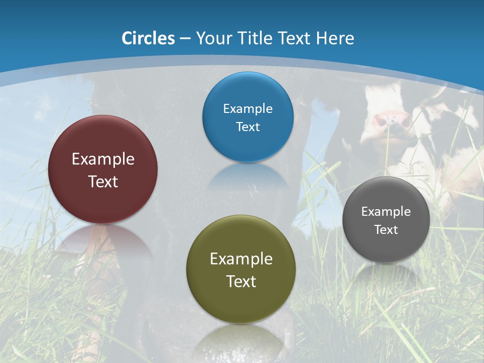 Ranch Cow Land PowerPoint Template