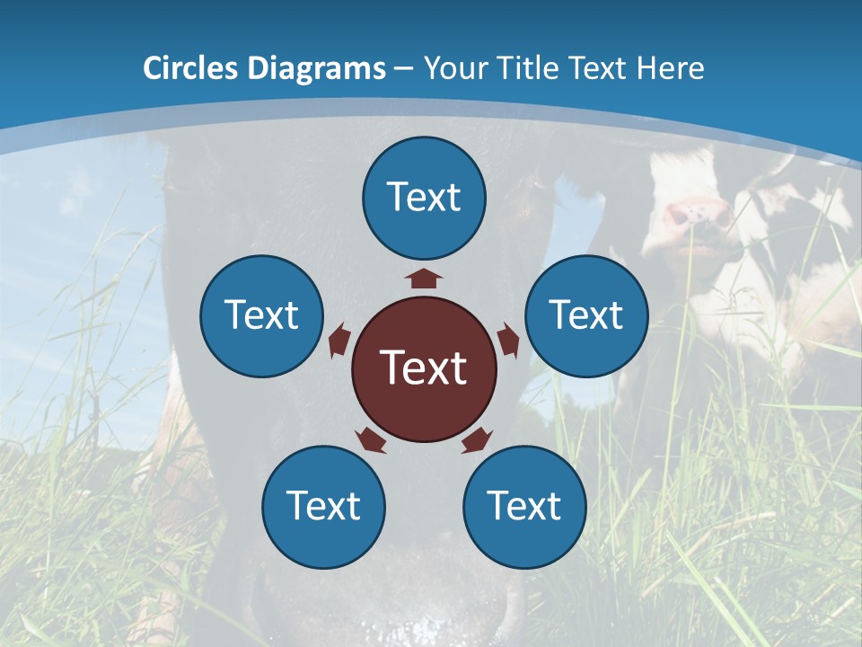 Ranch Cow Land PowerPoint Template