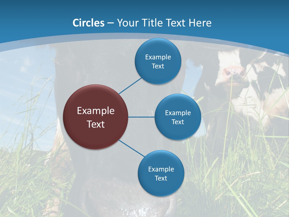 Ranch Cow Land PowerPoint Template