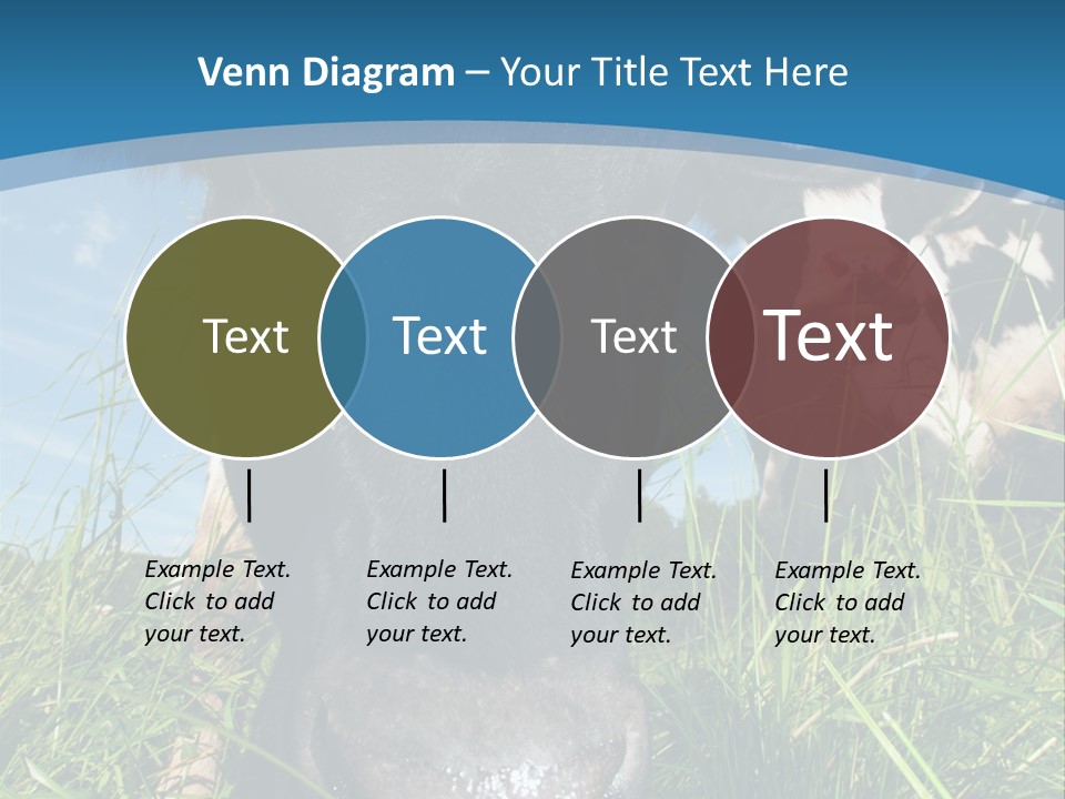 Ranch Cow Land PowerPoint Template