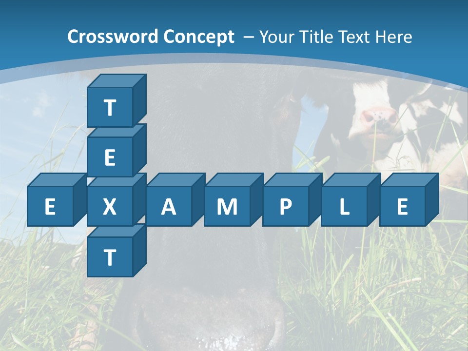 Ranch Cow Land PowerPoint Template