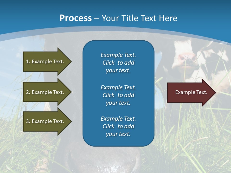 Ranch Cow Land PowerPoint Template