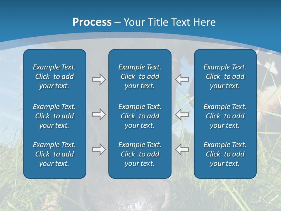 Ranch Cow Land PowerPoint Template