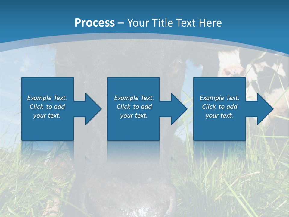 Ranch Cow Land PowerPoint Template