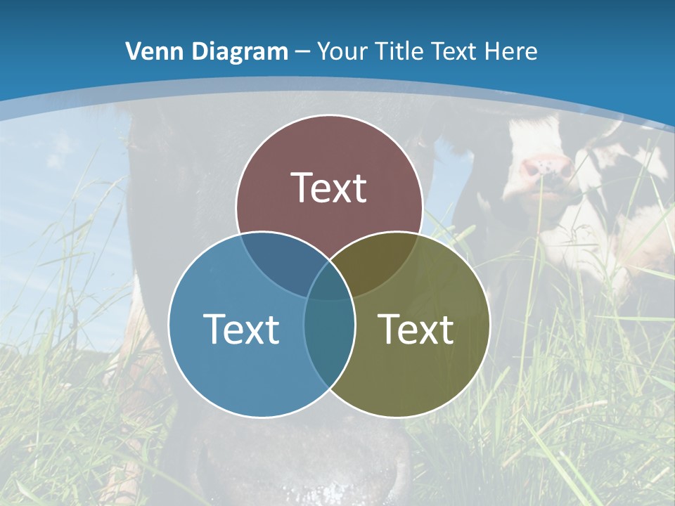 Ranch Cow Land PowerPoint Template