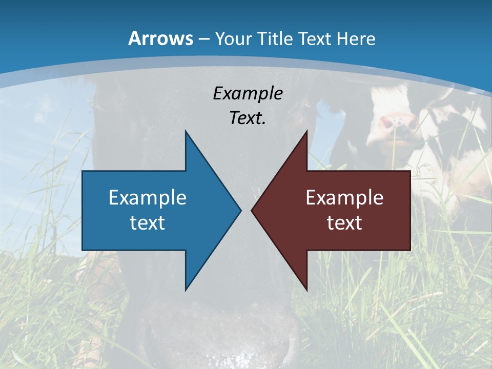 Ranch Cow Land PowerPoint Template