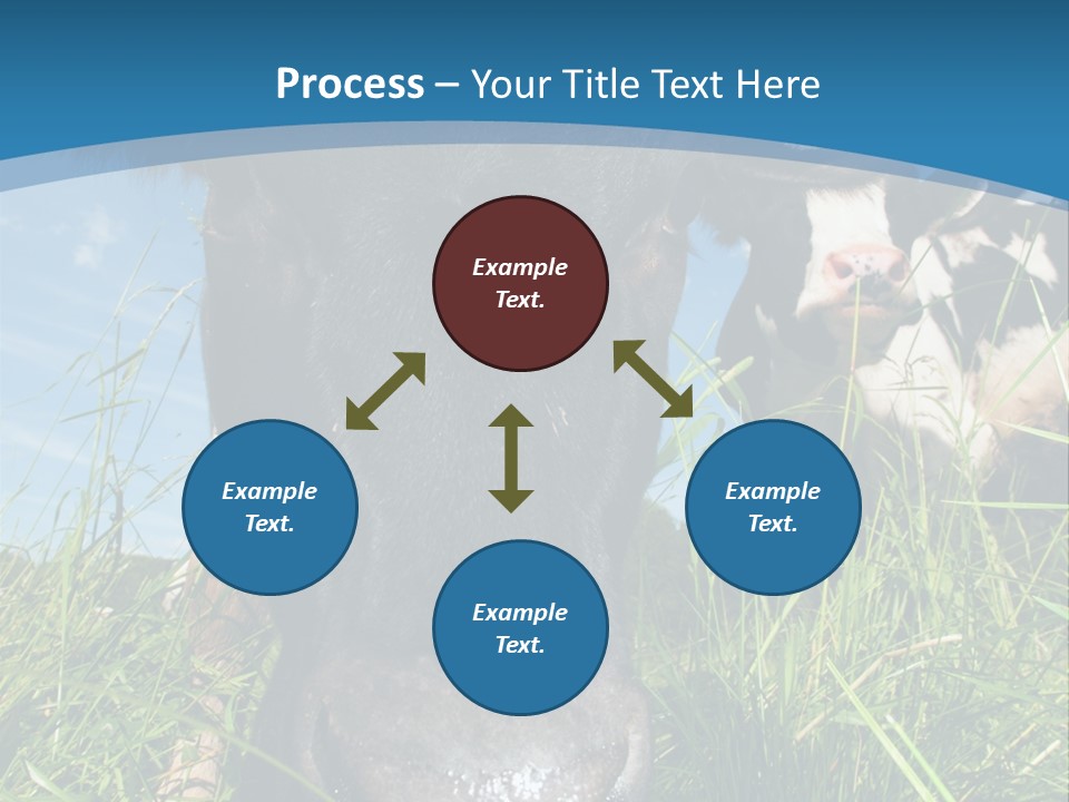 Ranch Cow Land PowerPoint Template