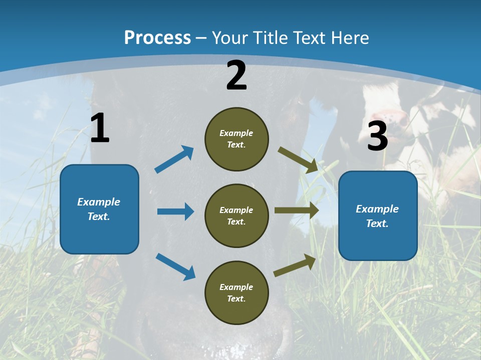 Ranch Cow Land PowerPoint Template