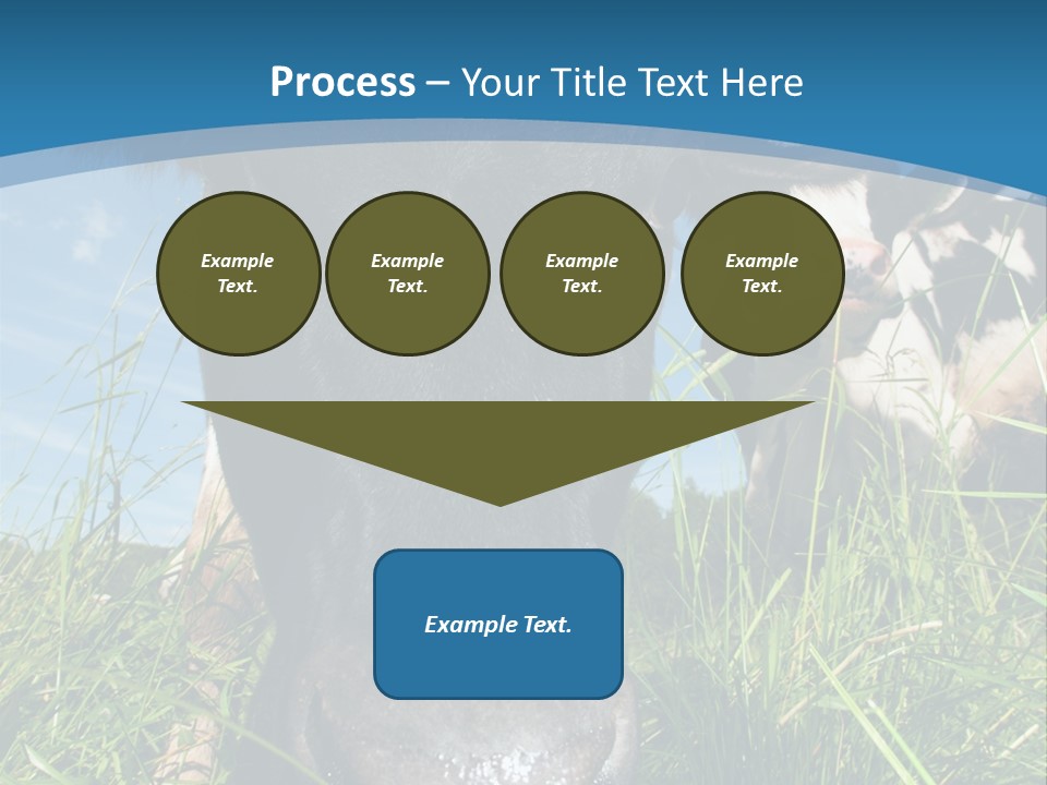 Ranch Cow Land PowerPoint Template