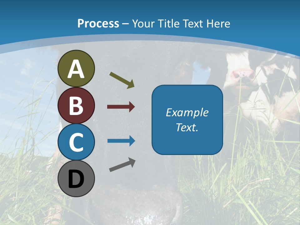Ranch Cow Land PowerPoint Template