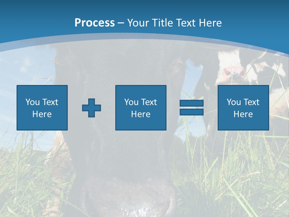 Ranch Cow Land PowerPoint Template