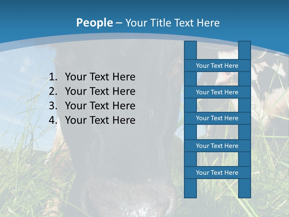 Ranch Cow Land PowerPoint Template