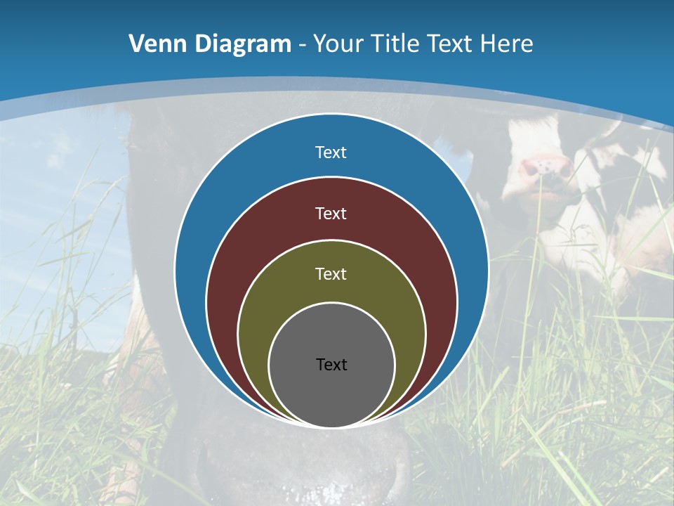 Ranch Cow Land PowerPoint Template