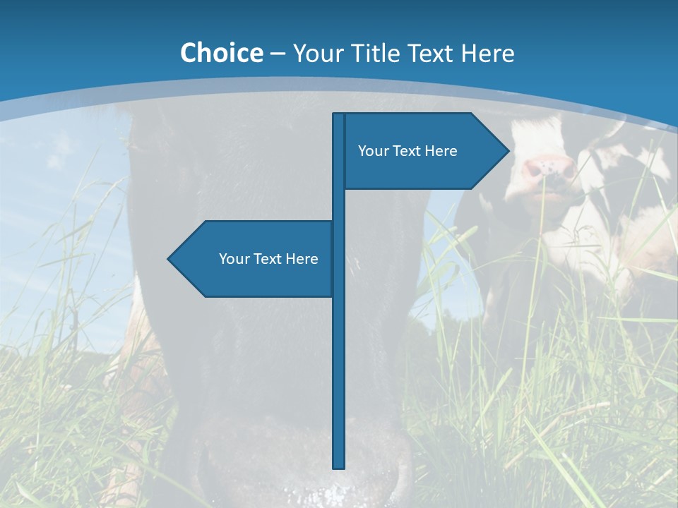 Ranch Cow Land PowerPoint Template