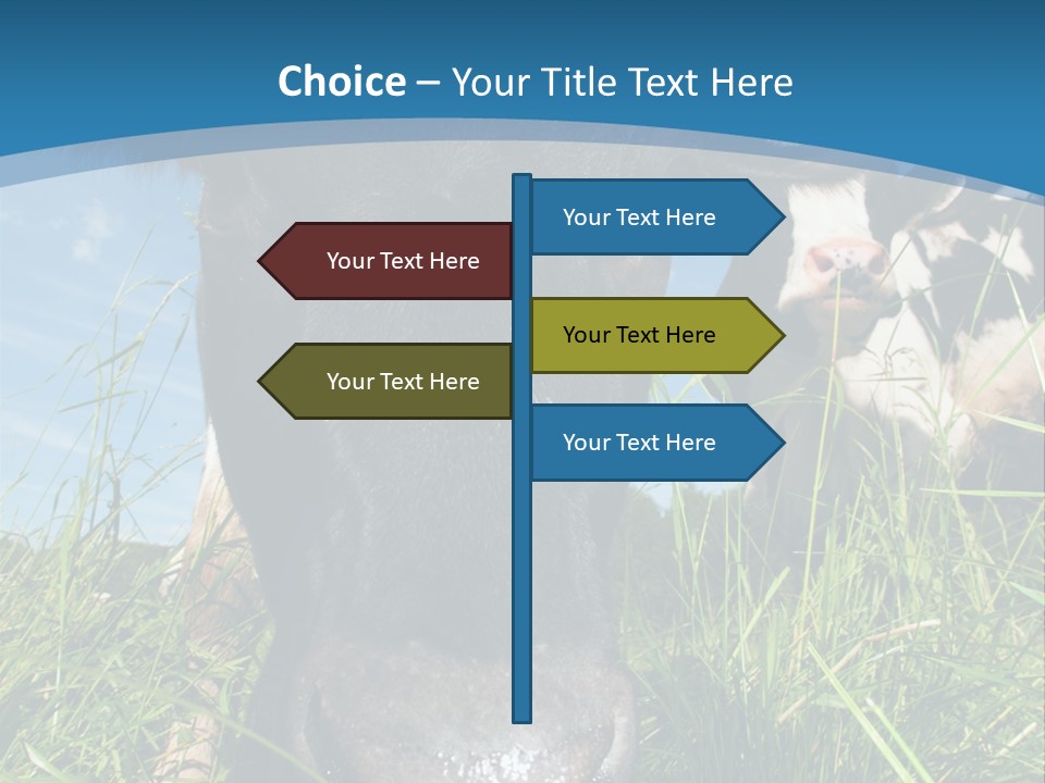 Ranch Cow Land PowerPoint Template