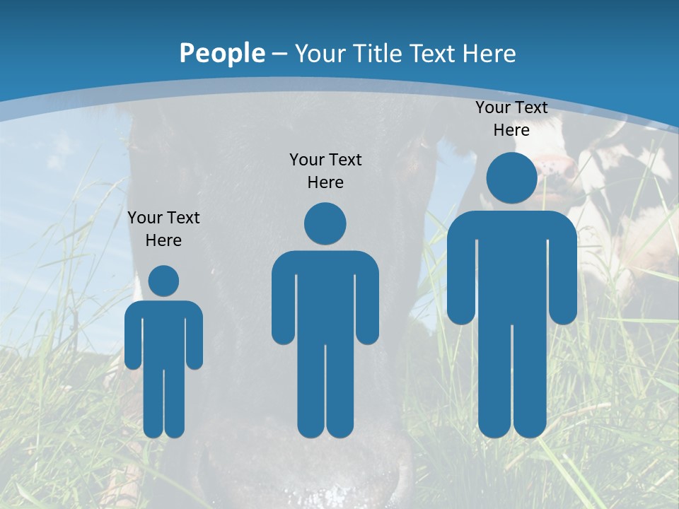 Ranch Cow Land PowerPoint Template