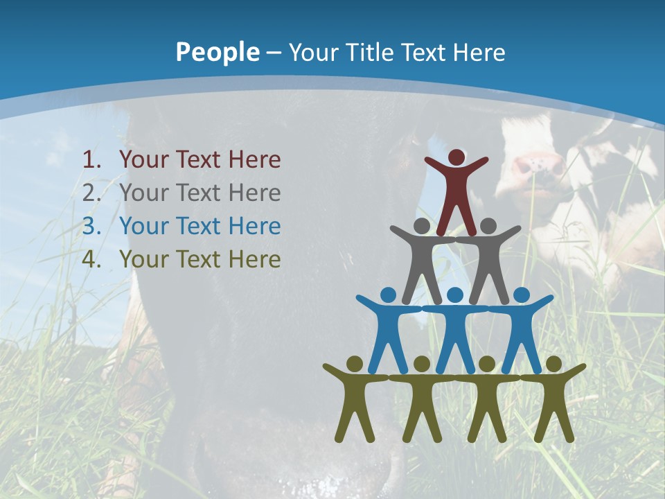 Ranch Cow Land PowerPoint Template