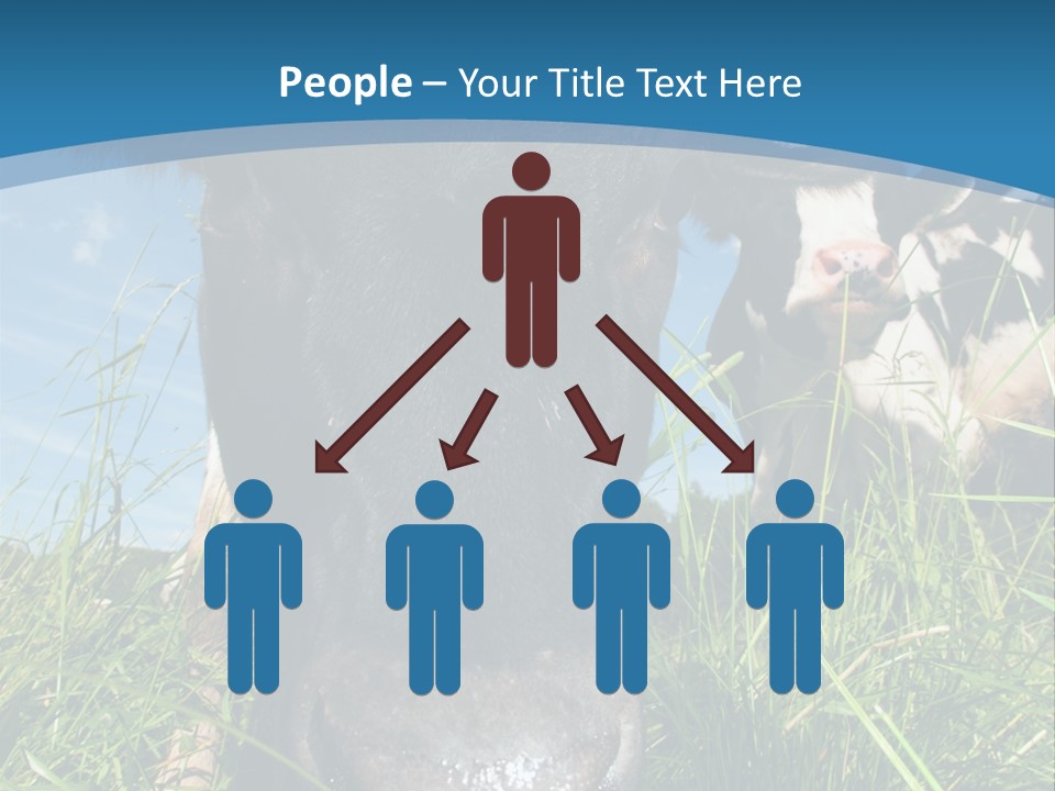 Ranch Cow Land PowerPoint Template