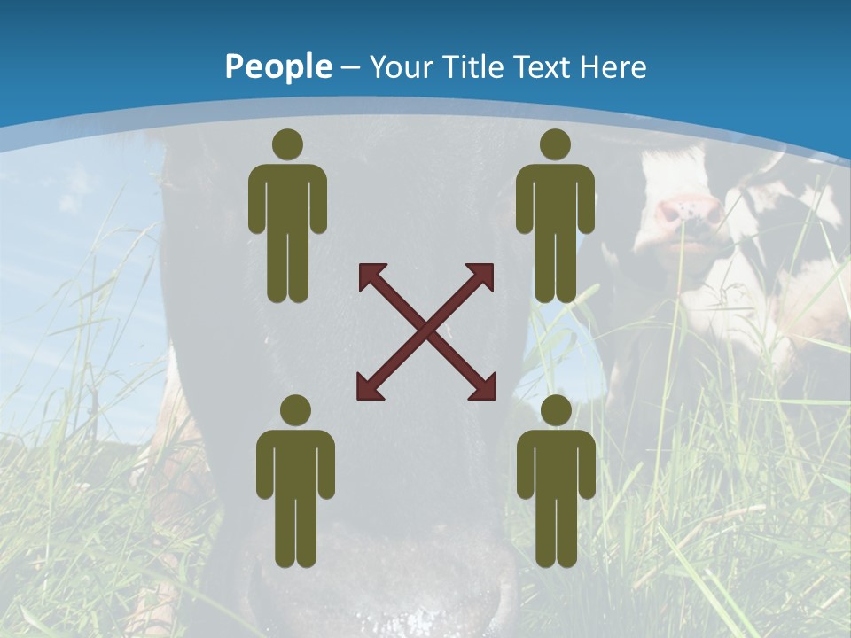 Ranch Cow Land PowerPoint Template