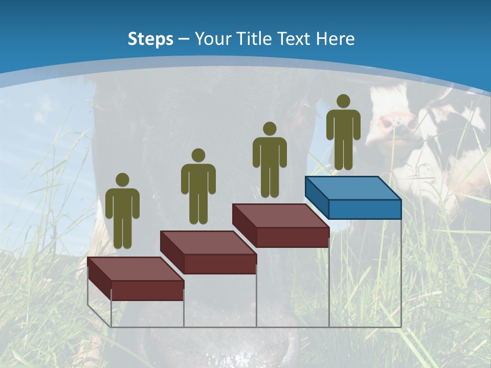 Ranch Cow Land PowerPoint Template