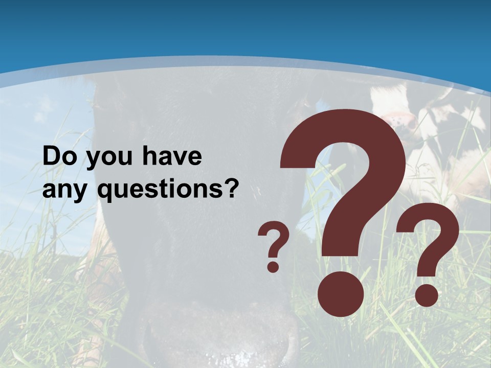 Ranch Cow Land PowerPoint Template