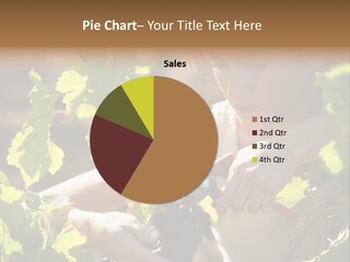 Wine Facing Caucasian PowerPoint Template