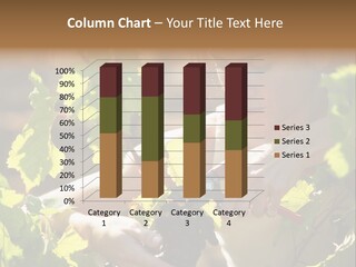 Wine Facing Caucasian PowerPoint Template