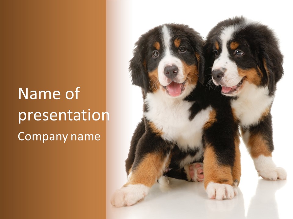 Shepherd Puppy Pup PowerPoint Template