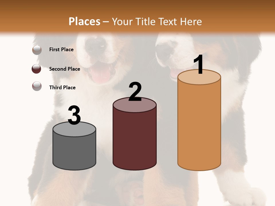 Shepherd Puppy Pup PowerPoint Template
