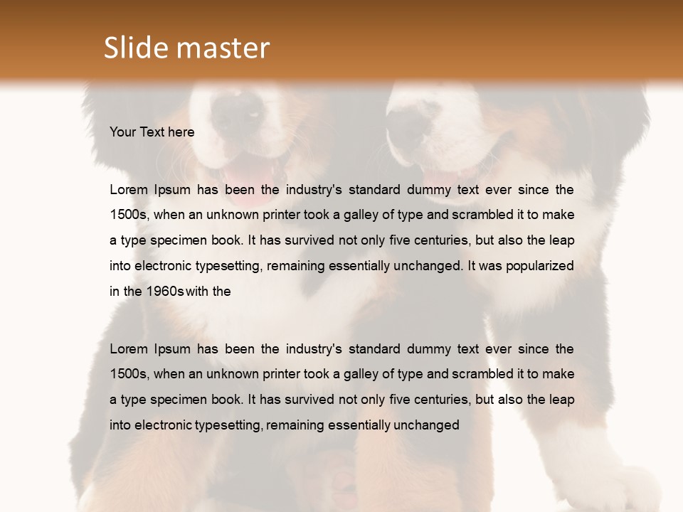 Shepherd Puppy Pup PowerPoint Template