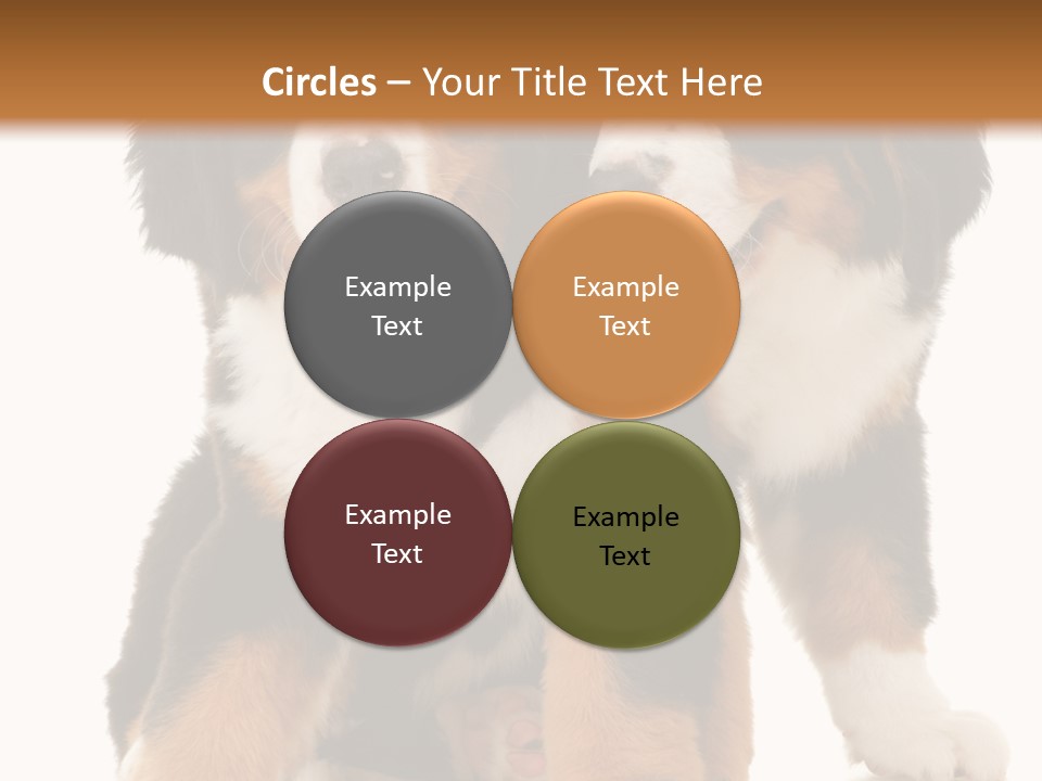 Shepherd Puppy Pup PowerPoint Template