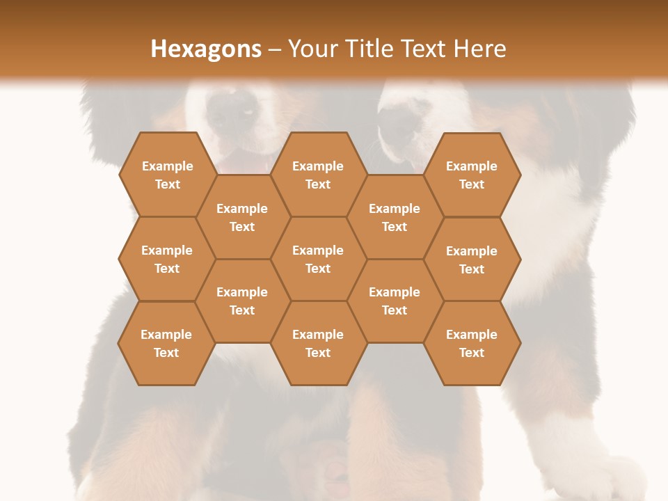 Shepherd Puppy Pup PowerPoint Template