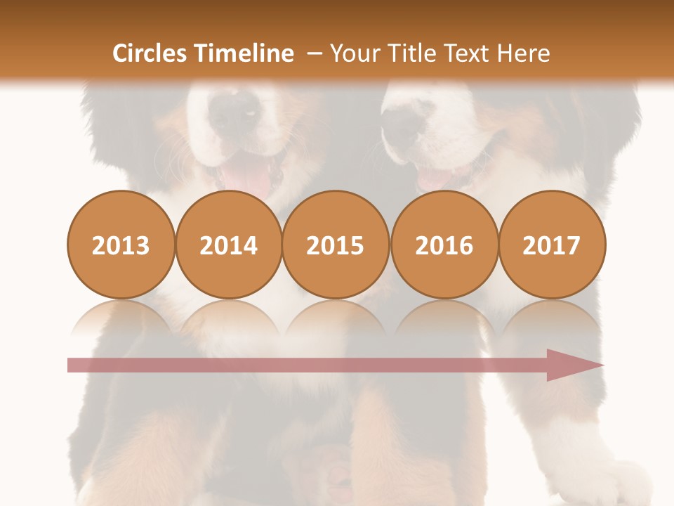 Shepherd Puppy Pup PowerPoint Template