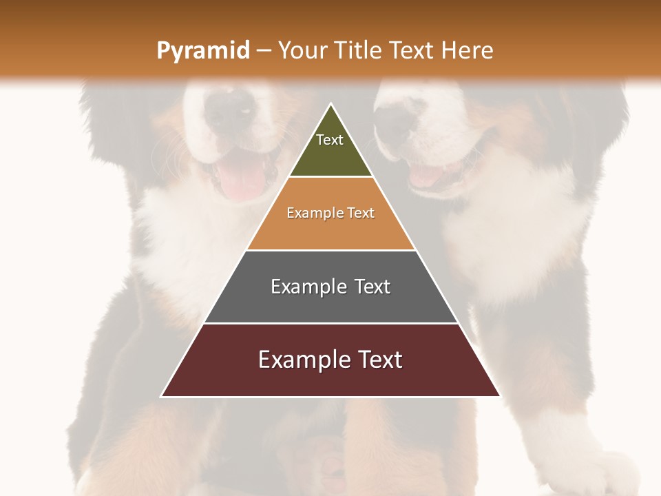 Shepherd Puppy Pup PowerPoint Template