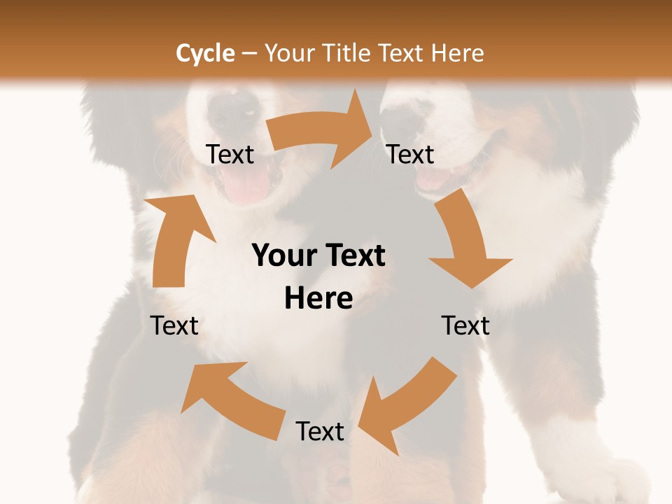 Shepherd Puppy Pup PowerPoint Template