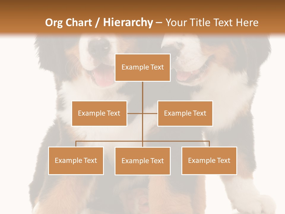 Shepherd Puppy Pup PowerPoint Template