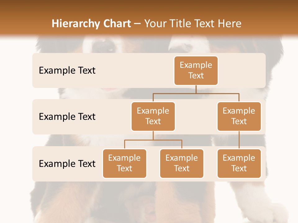 Shepherd Puppy Pup PowerPoint Template