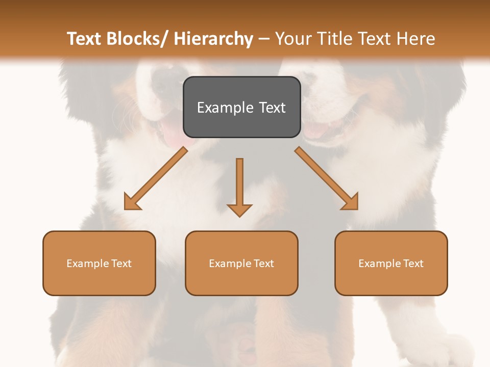 Shepherd Puppy Pup PowerPoint Template