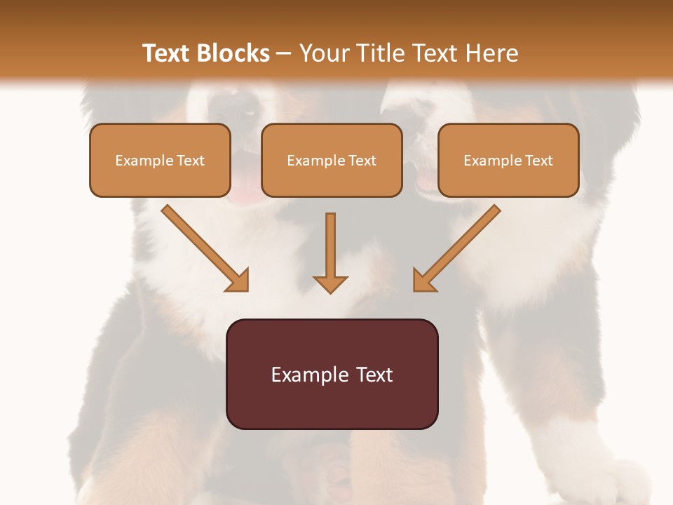 Shepherd Puppy Pup PowerPoint Template